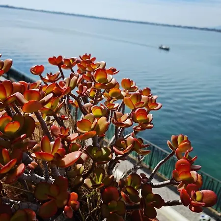 דירה La Finestra Sul Mare Di Alfeo *
